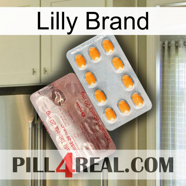 Lilly Brand new13.jpg